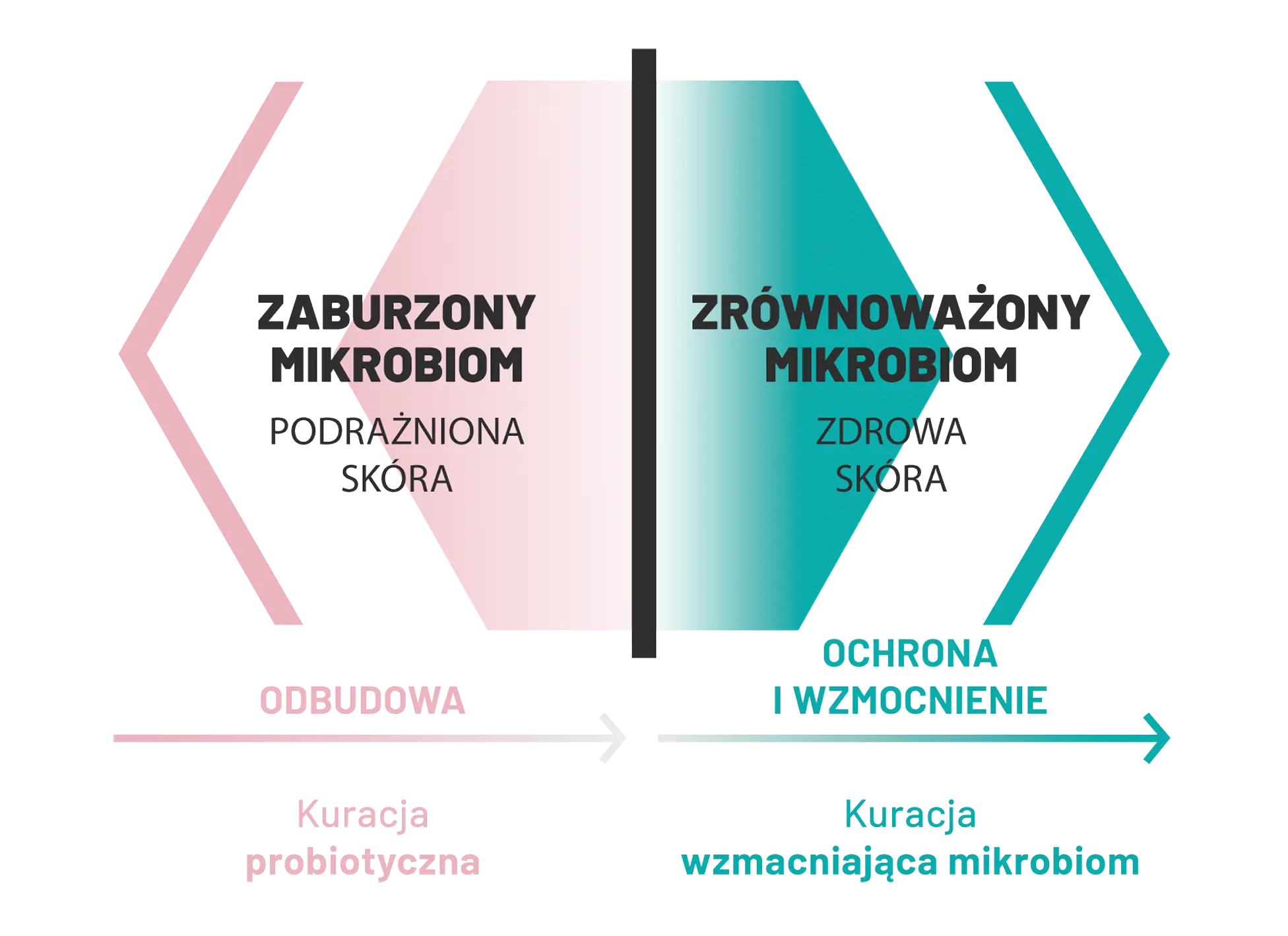 Grafika przedstawiająca r&oacute;wnowagę mikrobiomu sk&oacute;ry.