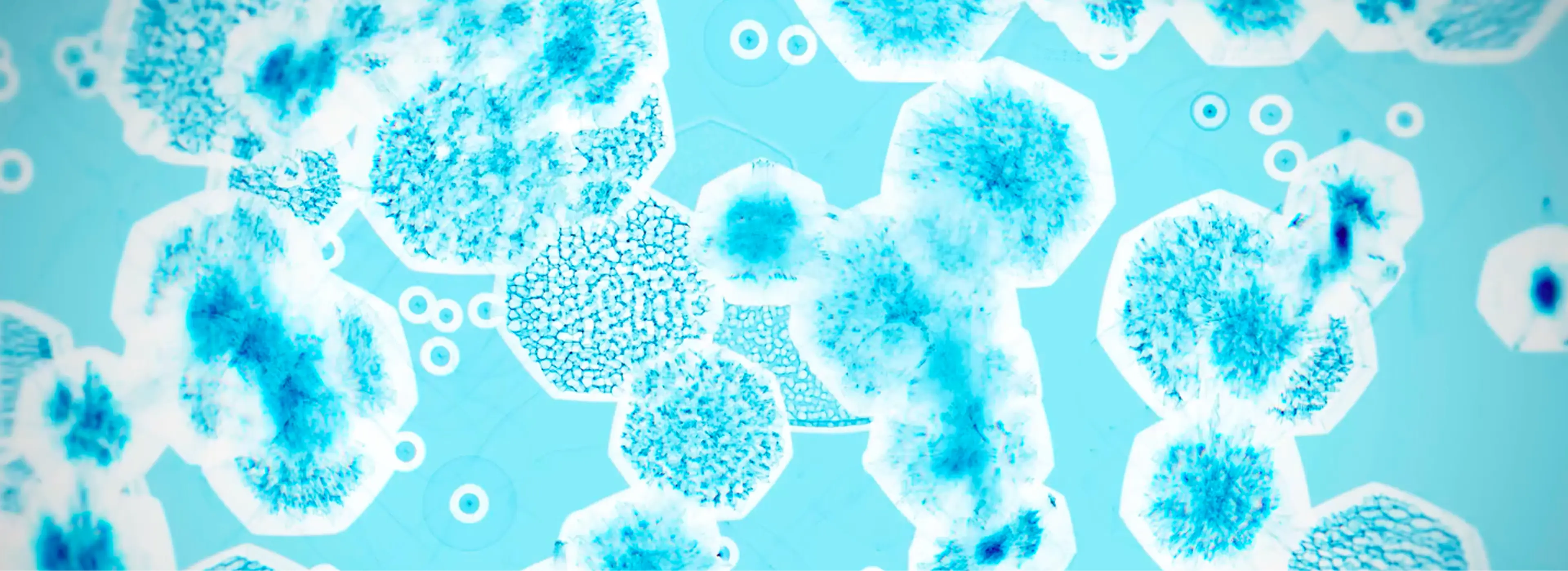 Banner badania &ndash; wizualizacja procesu badań laboratoryjnych w YUN