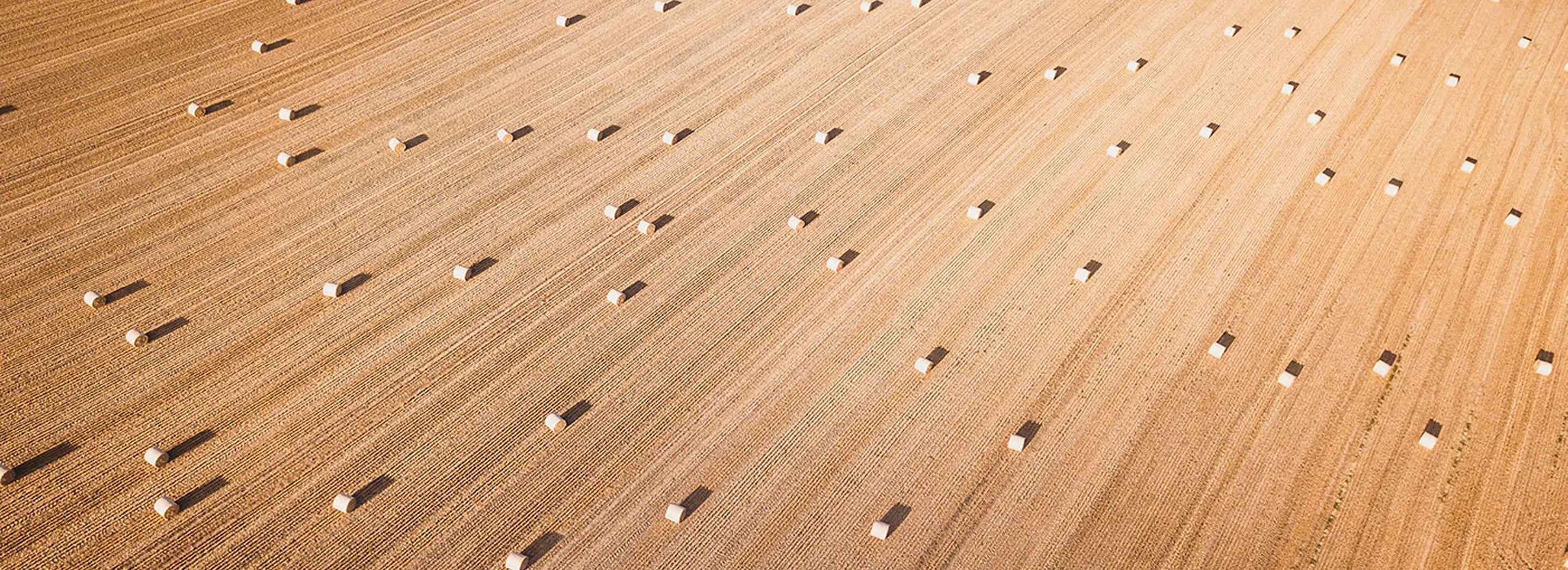 Widok z lotu ptaka na pole uprawne z r&oacute;wnomiernie rozłożonymi belami słomy po żniwach