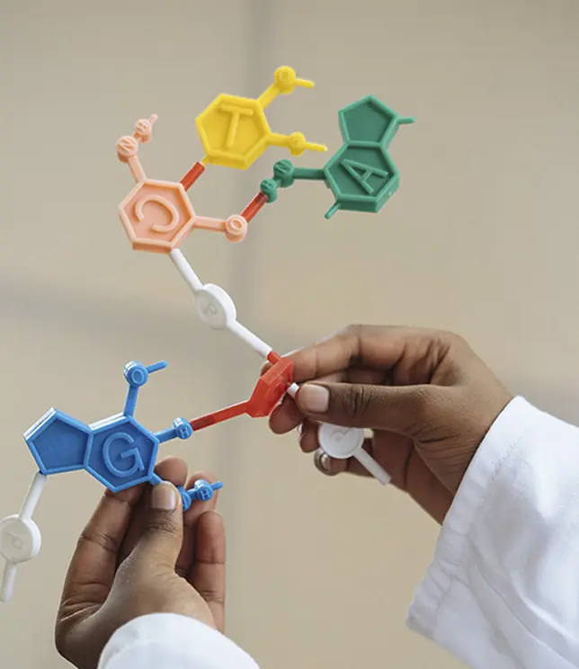 Plastikowy Model DNA trzymany w dłoniach